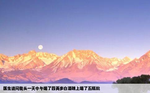 医生请问我头一天中午喝了四两多白酒晚上喝了五瓶批
