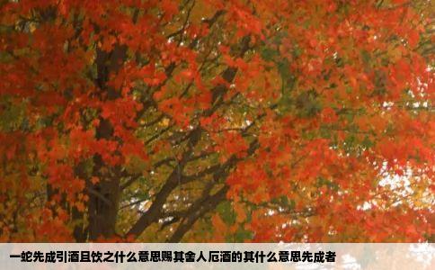 一蛇先成引酒且饮之什么意思赐其舍人厄酒的其什么意思先成者