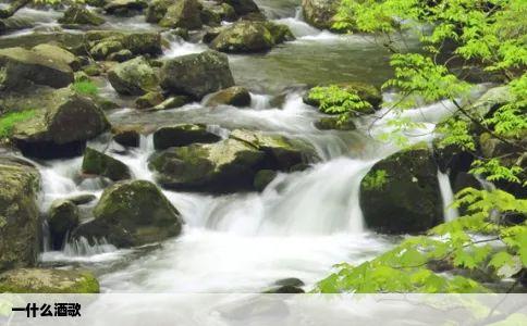 一什么酒歌