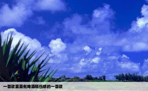 一首歌里面有啤酒瓶伤感的一首歌