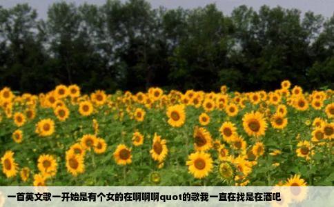 一首英文歌一开始是有个女的在啊啊啊quot的歌我一直在找是在酒吧
