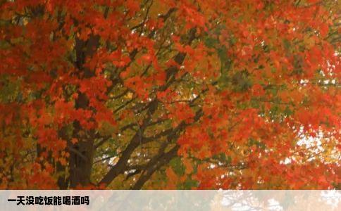 一天没吃饭能喝酒吗