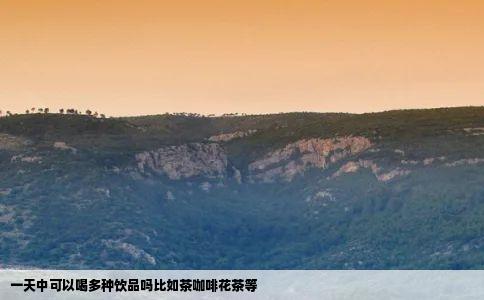 一天中可以喝多种饮品吗比如茶咖啡花茶等