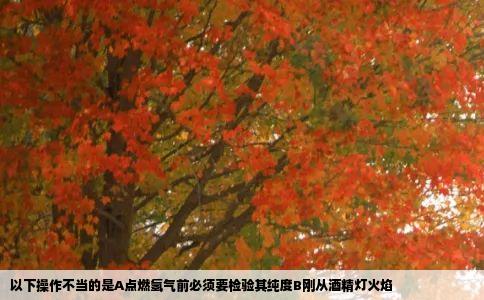 以下操作不当的是A点燃氢气前必须要检验其纯度B刚从酒精灯火焰