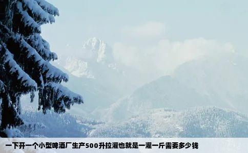 一下开一个小型啤酒厂生产500升拉灌也就是一灌一斤需要多少钱
