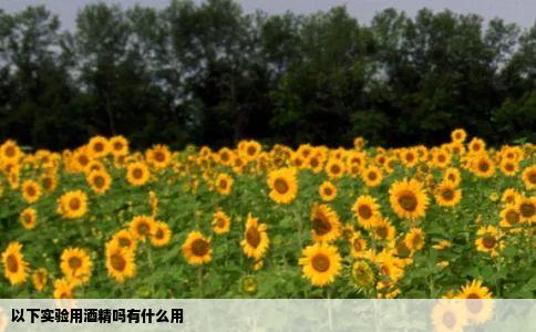 以下实验用酒精吗有什么用