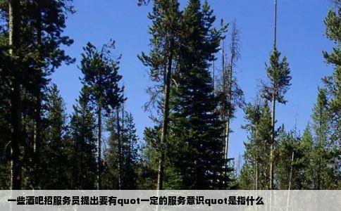 一些酒吧招服务员提出要有quot一定的服务意识quot是指什么