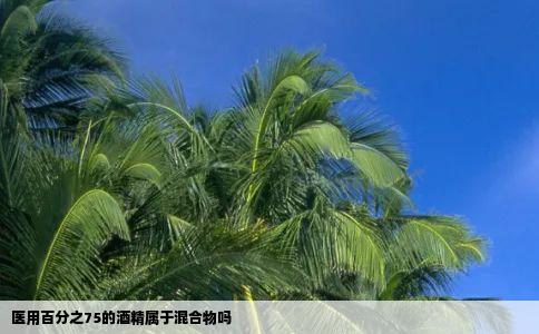 医用百分之75的酒精属于混合物吗