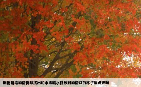 医用消毒酒精棉球挤出的水酒精水能放到酒精灯的杯子里点燃吗