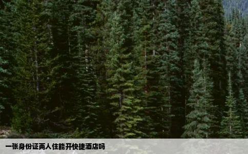 一张身份证两人住能开快捷酒店吗