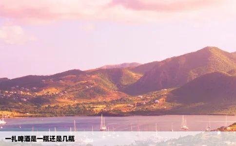 一扎啤酒是一瓶还是几瓶