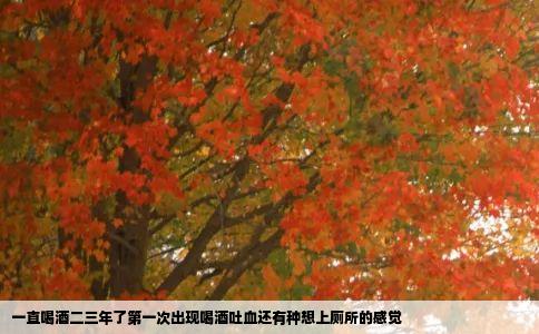 一直喝酒二三年了第一次出现喝酒吐血还有种想上厕所的感觉