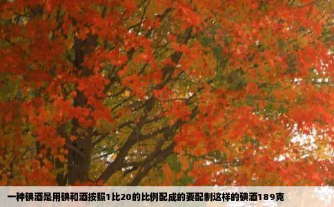 一种碘酒是用碘和酒按照1比20的比例配成的要配制这样的碘酒189克