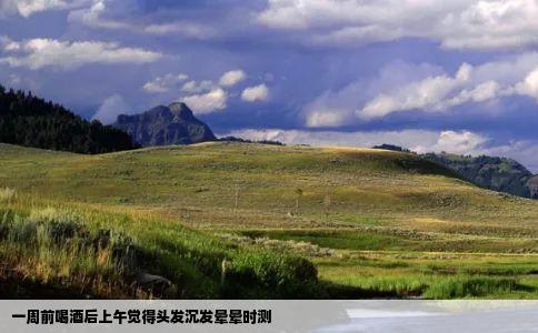 一周前喝酒后上午觉得头发沉发晕晕时测