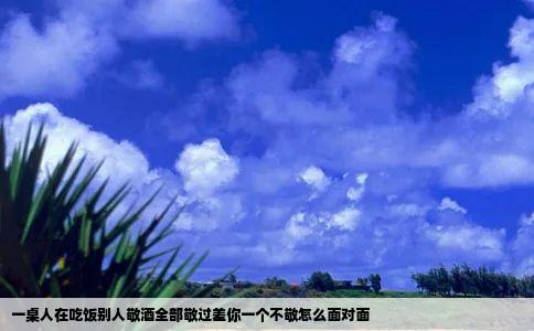 一桌人在吃饭别人敬酒全部敬过差你一个不敬怎么面对面