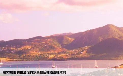 用52度的的白酒泡的水果最后味道酒味浓吗