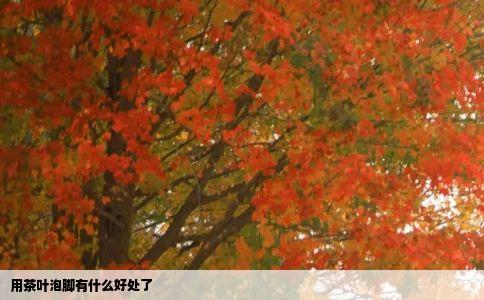 用茶叶泡脚有什么好处了