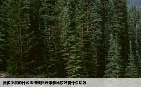 用多少度的什么酒泡枸杞西洋参比较好有什么功效