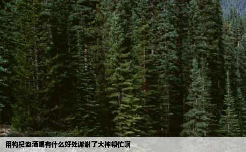 用枸杞泡酒喝有什么好处谢谢了大神帮忙啊