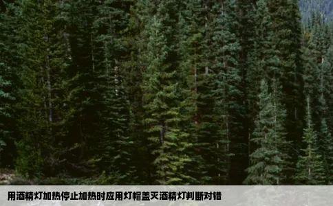 用酒精灯加热停止加热时应用灯帽盖灭酒精灯判断对错