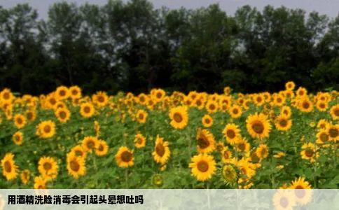 用酒精洗脸消毒会引起头晕想吐吗