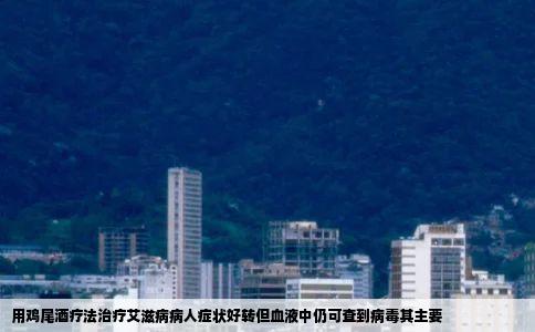 用鸡尾酒疗法治疗艾滋病病人症状好转但血液中仍可查到病毒其主要