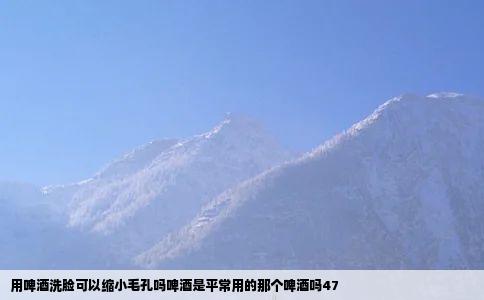 用啤酒洗脸可以缩小毛孔吗啤酒是平常用的那个啤酒吗47