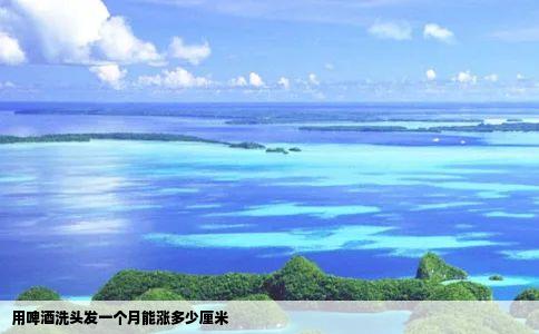 用啤酒洗头发一个月能涨多少厘米