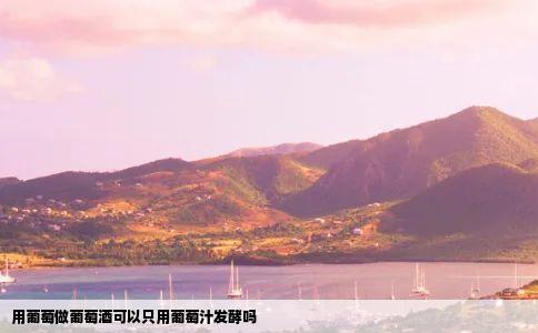 用葡萄做葡萄酒可以只用葡萄汁发酵吗