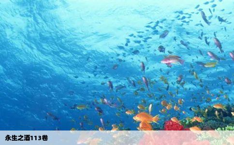 永生之酒113卷
