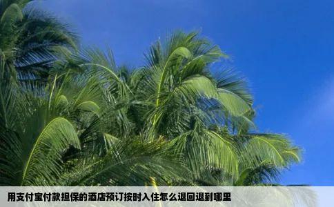 用支付宝付款担保的酒店预订按时入住怎么退回退到哪里