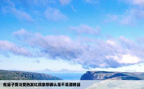 有鼻子受冷受热发红现象想确认是不是酒糟鼻