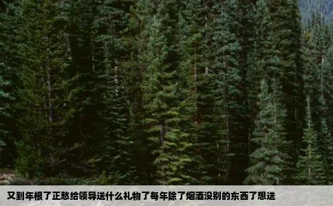 又到年根了正愁给领导送什么礼物了每年除了烟酒没别的东西了想送