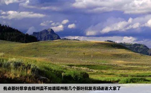 有点茶叶想拿去福州卖不知道福州有几个茶叶批发市场谢谢大家了