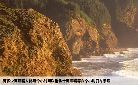 有多少克酒精人体每个小时可以消化十克酒精等六个小时开车矛盾