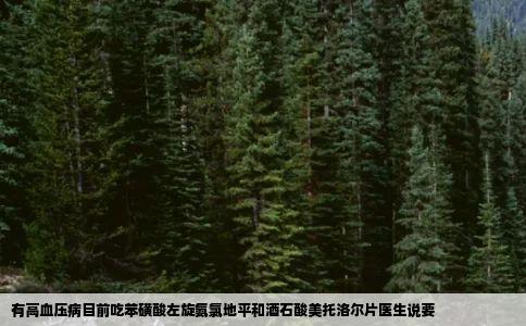 有高血压病目前吃苯磺酸左旋氨氯地平和酒石酸美托洛尔片医生说要