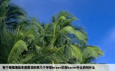 有个葡萄酒标志很简洁的就几个字母braer还是barer什么的叫什么