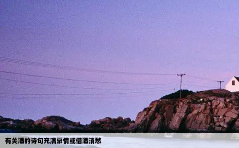 有关酒的诗句充满豪情或借酒消愁
