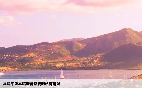 又喝牛奶又喝普洱茶减肥还有用吗