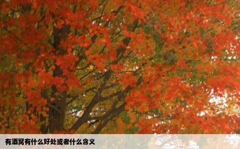 有酒窝有什么好处或者什么含义