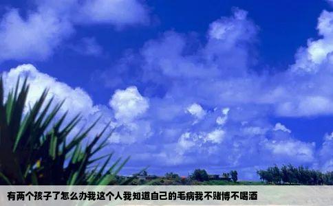 有两个孩子了怎么办我这个人我知道自己的毛病我不赌博不喝酒