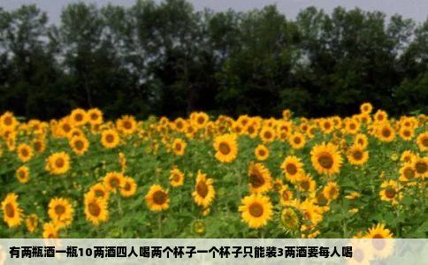 有两瓶酒一瓶10两酒四人喝两个杯子一个杯子只能装3两酒要每人喝