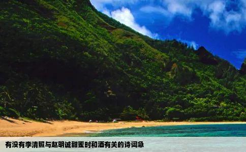 有没有李清照与赵明诚甜蜜时和酒有关的诗词急