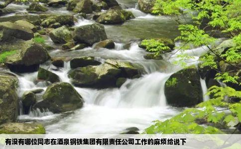 有没有哪位同志在酒泉钢铁集团有限责任公司工作的麻烦给说下