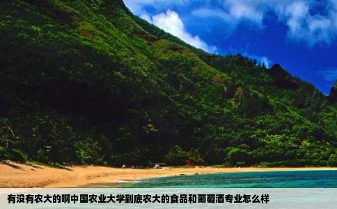有没有农大的啊中国农业大学到底农大的食品和葡萄酒专业怎么样