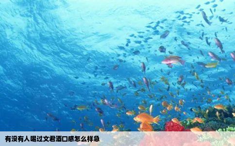 有没有人喝过文君酒口感怎么样急