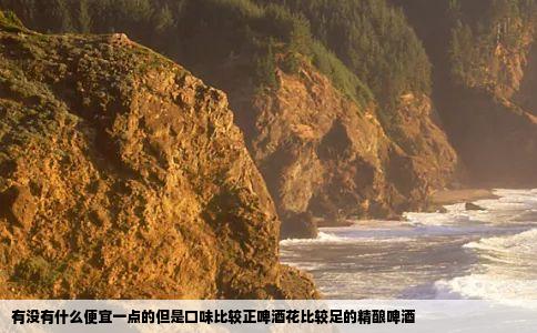 有没有什么便宜一点的但是口味比较正啤酒花比较足的精酿啤酒