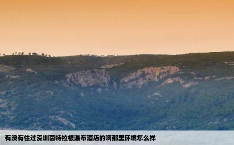 有没有住过深圳茵特拉根瀑布酒店的啊那里环境怎么样