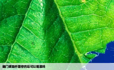 幽门螺旋杆菌停药后可以喝酒吗