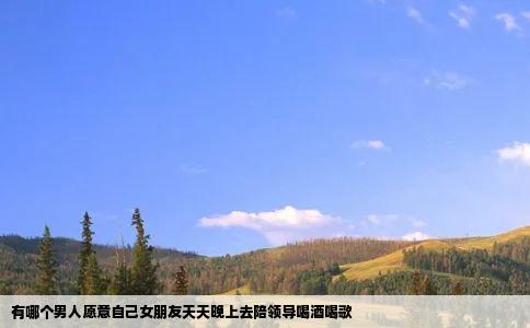 有哪个男人愿意自己女朋友天天晚上去陪领导喝酒喝歌